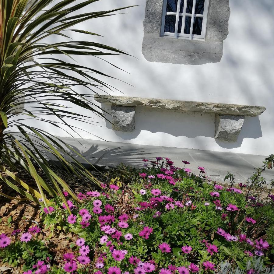 Maison D'Hotes Villa Xaran Erdian Espelette Dış mekan fotoğraf