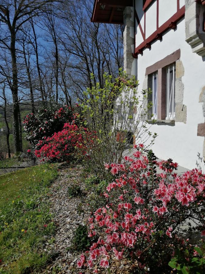 Maison D'Hotes Villa Xaran Erdian Espelette Dış mekan fotoğraf